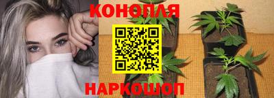 марихуана Будённовск