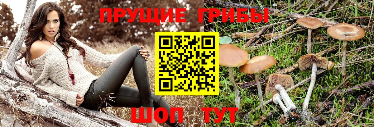 Псилоцибиновые грибы Magic Shrooms Мелеуз